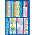 Coastal Processes Lam Laminated Daydream Wallchart