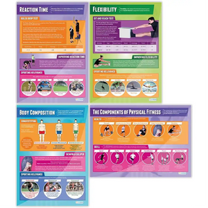 DD WC Components of Physical Fitness set 12 Lam.