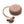 dBud Earplugs Dusty Pink