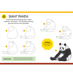 How To Draw - Zoo Animals