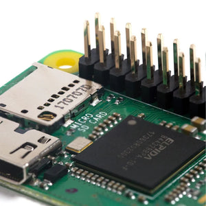 Raspberry Pi Zero W with Header