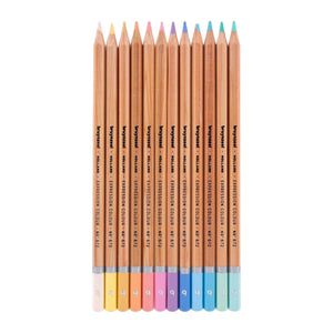 Bruynzeel Expression Pastel Shades Pencils 12 Set