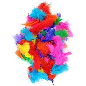 Feathers Assorted Colours 250 Pack