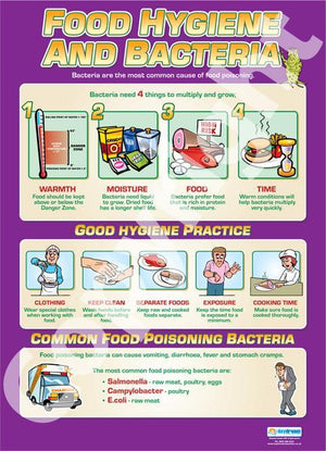 Food Hygiene & Bacteria Gloss Daydream Wallchart