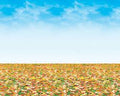 Fadeless Paper Rolls (1.2 x 3.6m) Range