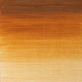 W&N Griffin Oil Colour 37ml Range