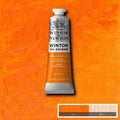 W&N Winton Oil 37ml Range