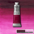 W&N Winton Oil 37ml Range
