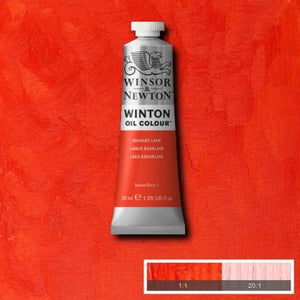 W&N Winton Oil 37ml Range