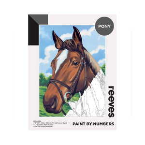 Reeves Paint by Numbers 12x16 inch - Pony