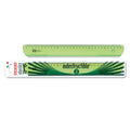 Elastika Ruler 30cm