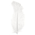 Rayher Ostrich's Feathers White