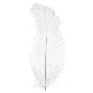 Rayher Ostrich's Feathers White