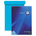 Student Solutions Visual Memory Aid Top Bound Refill Pad Turquoise A4 100pg