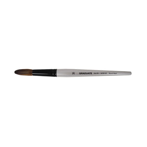 Daler Rowney Daler Rowney Graduate Pony Synthetic Round Wash Brush Range SG Education