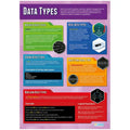 Daydream Data Types Laminated Daydream Wallchart SG Education