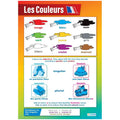 Daydream DD WC Les Couleurs -web SG Education