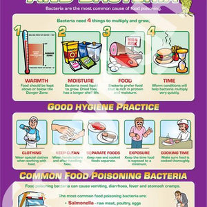 Daydream Food Hygiene & Bacteria Gloss Daydream Wallchart SG Education