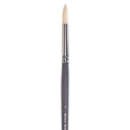 Elements Elements Round Hog Long Handle Brush Range SG Education