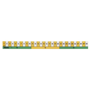 Helix Helix Early Learning Ruler 30cm SG Education