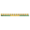 Helix Helix Early Learning Ruler 30cm SG Education