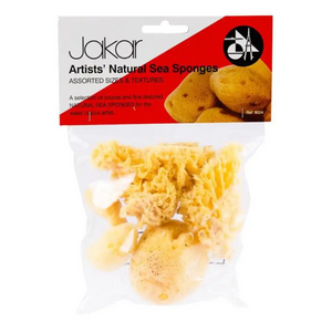 Jakar Jakar Artists Natural Sea Sponges Assorted Sizes & Textured SG Education