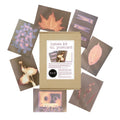 PAR ART-OTHER PAR Lumen Kit  Postcard SG Education