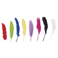 Rayher Rayher Goose Feathers 9 Pack SG Education