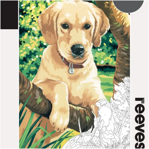 Reeves Reeves Paint by Numbers 12x16 inch - Labrador SG Education