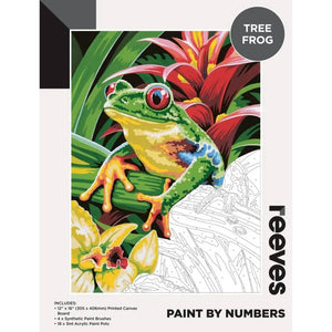 Reeves Reeves Paint by Numbers 12x16inch Frog SG Education