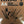 SG Education Clairefontaine Kraft Brown Glued Pad Range SG Education