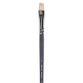 SG Education Elements Bright Hog Long Handle Brush Range SG Education