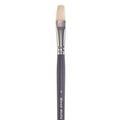 SG Education Elements Bright Hog Long Handle Brush Range SG Education