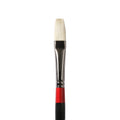 SG Education Georgian Long Flat Bristle Brush Range SG Education