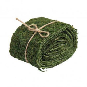 SG Education Rayher Moss Ribbon Range SG Education
