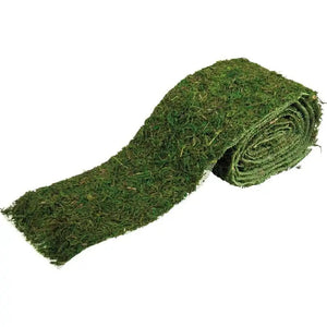 SG Education Rayher Moss Ribbon Range SG Education