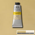 Winsor & Newton Galeria Acrylic 60ml Range SG Education