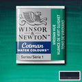 Winsor & Newton W&N Cotman Half Pan Range SG Education