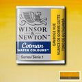 Winsor & Newton W&N Cotman Half Pan Range SG Education