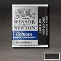 Winsor & Newton W&N Cotman Half Pan Range SG Education