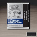 Winsor & Newton W&N Cotman Half Pan Range SG Education