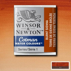 Winsor & Newton W&N Cotman Half Pan Range SG Education