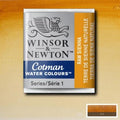 Winsor & Newton W&N Cotman Half Pan Range SG Education