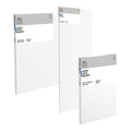 Winsor & Newton W&N Cotton Standard Canvas Range SG Education